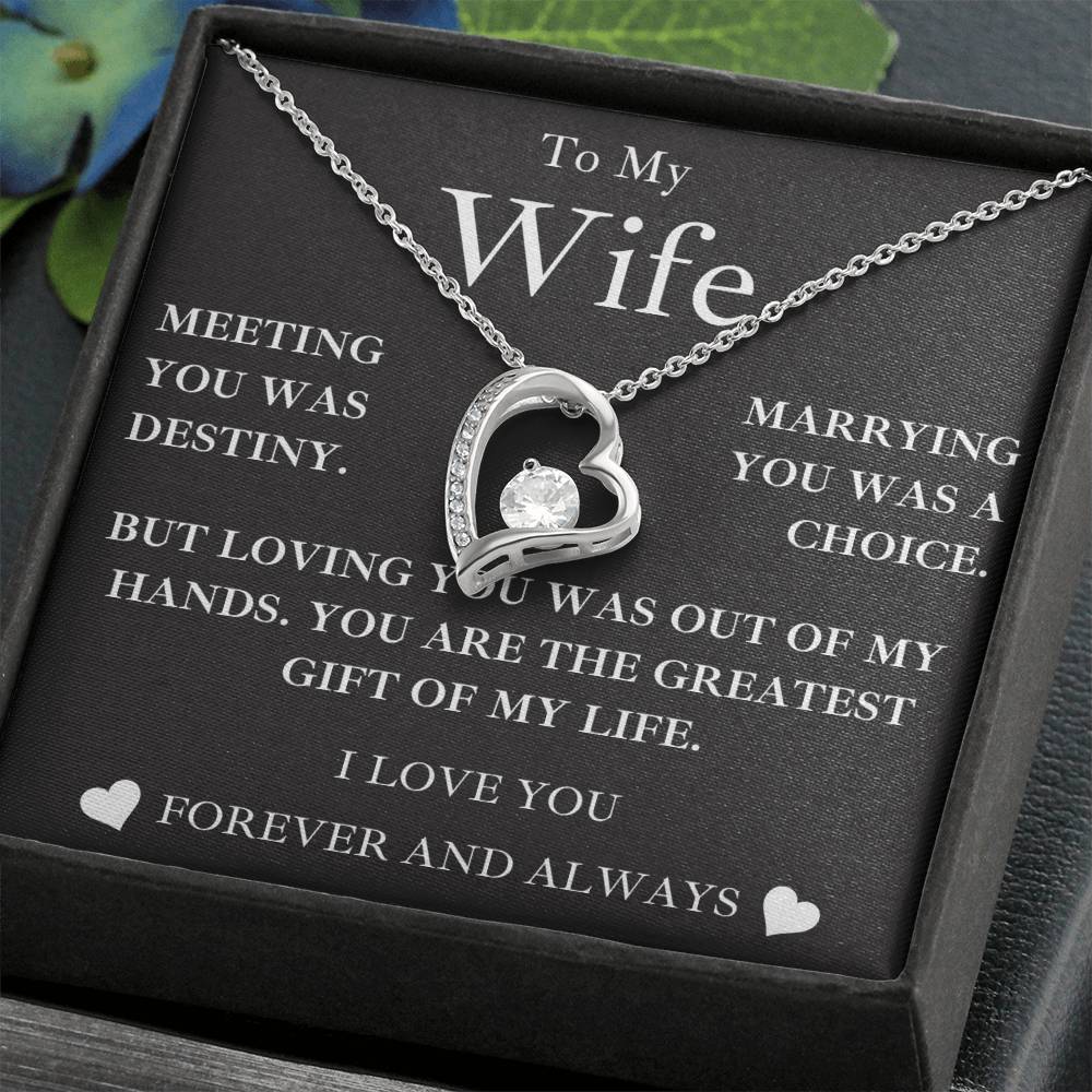 to my wife- MY GREATEST GIFT- forever love necklace