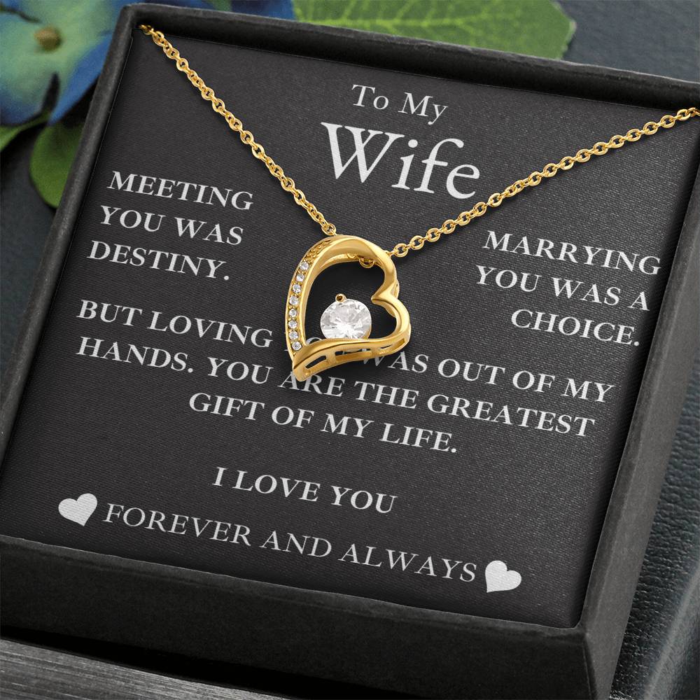 to my wife- MY GREATEST GIFT- forever love necklace